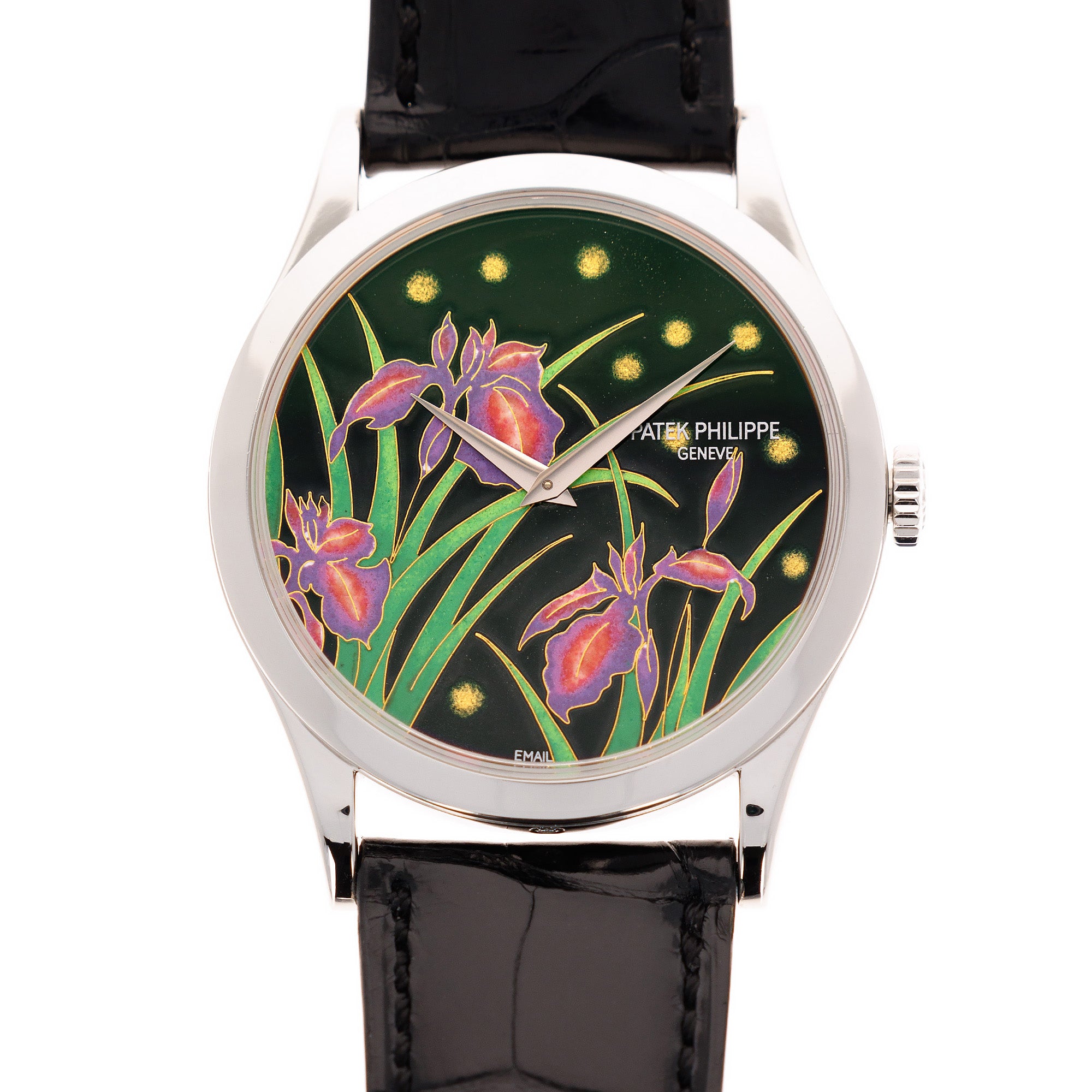 Patek Philippe Platinum Handcraft Watch Ref. 5077 with Enamel Iris and Night Fireflies