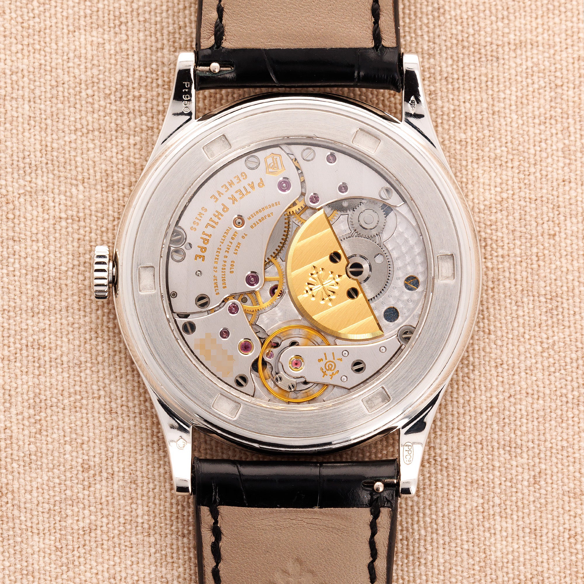 Patek Philippe Platinum Handcraft Watch Ref. 5077 with Enamel Iris and Night Fireflies
