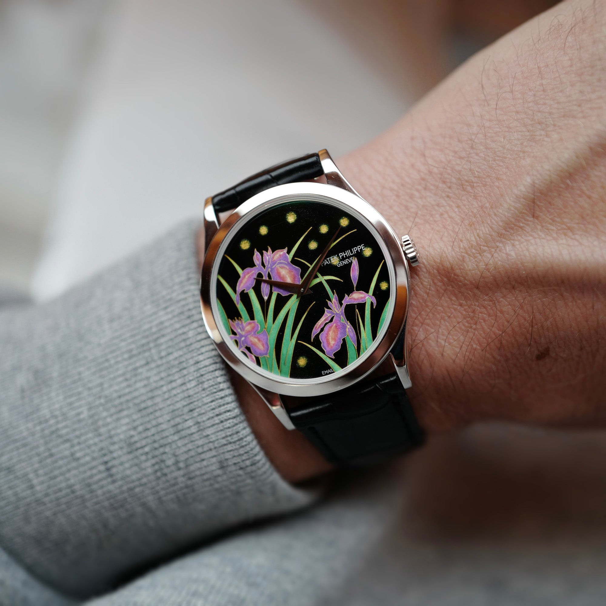 Patek Philippe Platinum Handcraft Watch Ref. 5077 with Enamel Iris and Night Fireflies