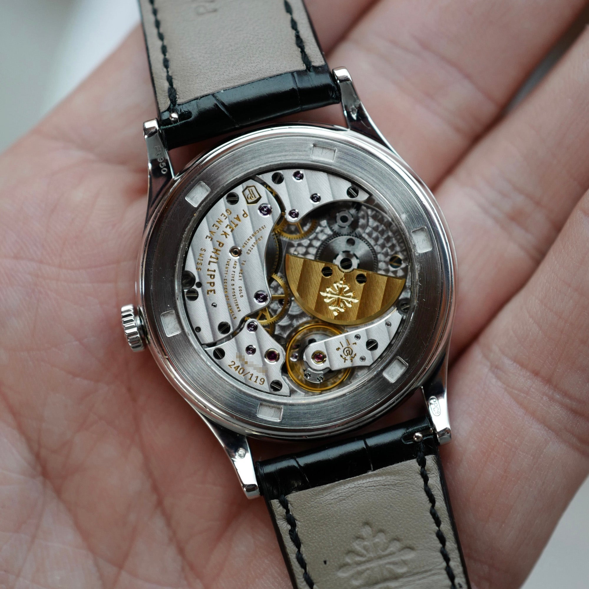 Patek Philippe Platinum Handcraft Watch Ref. 5077 with Enamel Iris and Night Fireflies
