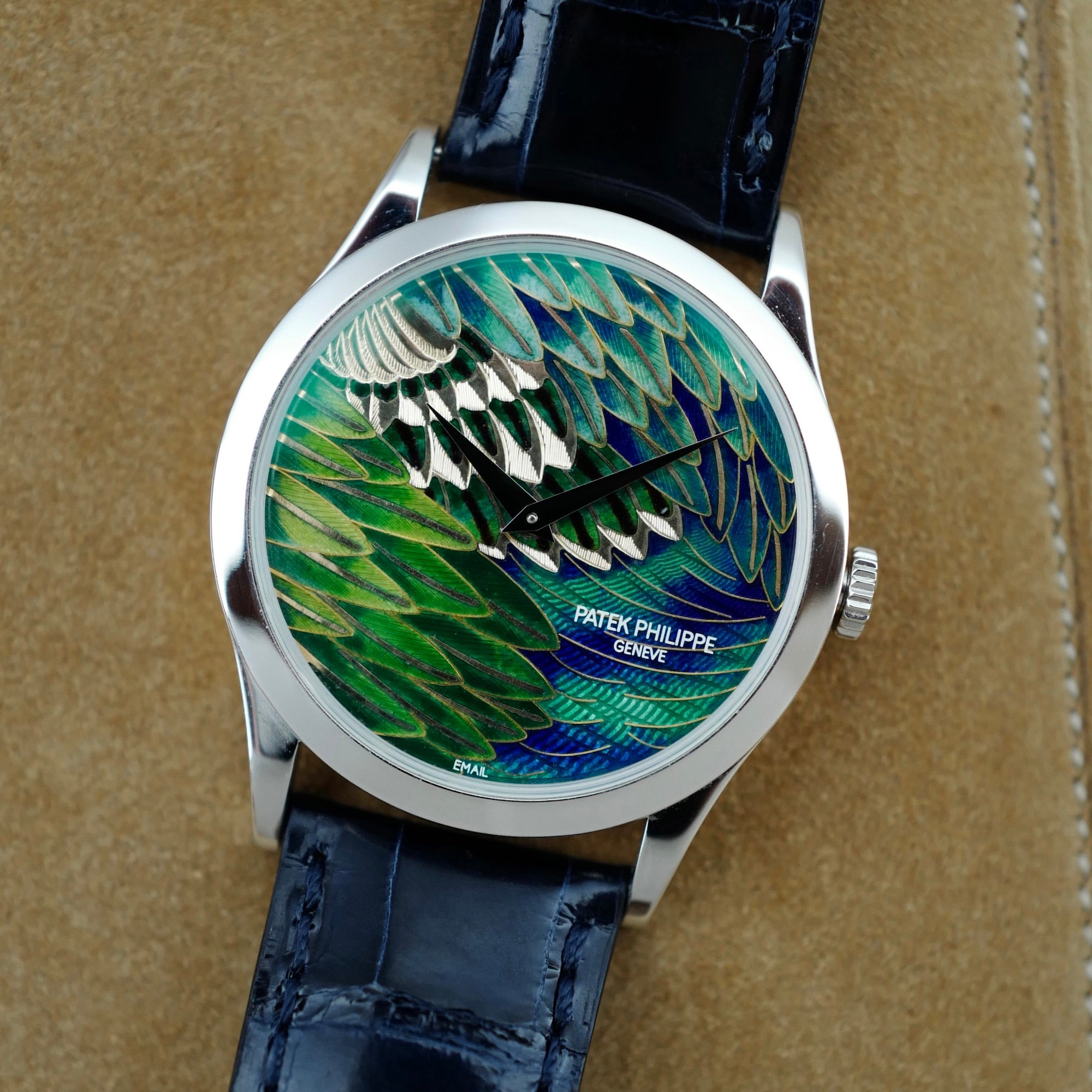 Patek Philippe Platinum Handcraft Calatrava Ref. 5077P with Peacock or Pheasant Dial