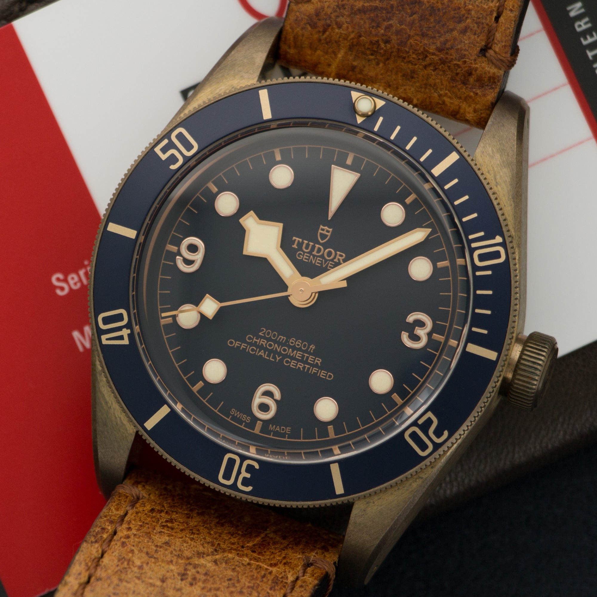 Tudor - Tudor Bronze Black Bay Heritage Bucherer Edition Watch Ref. 79250 - The Keystone Watches