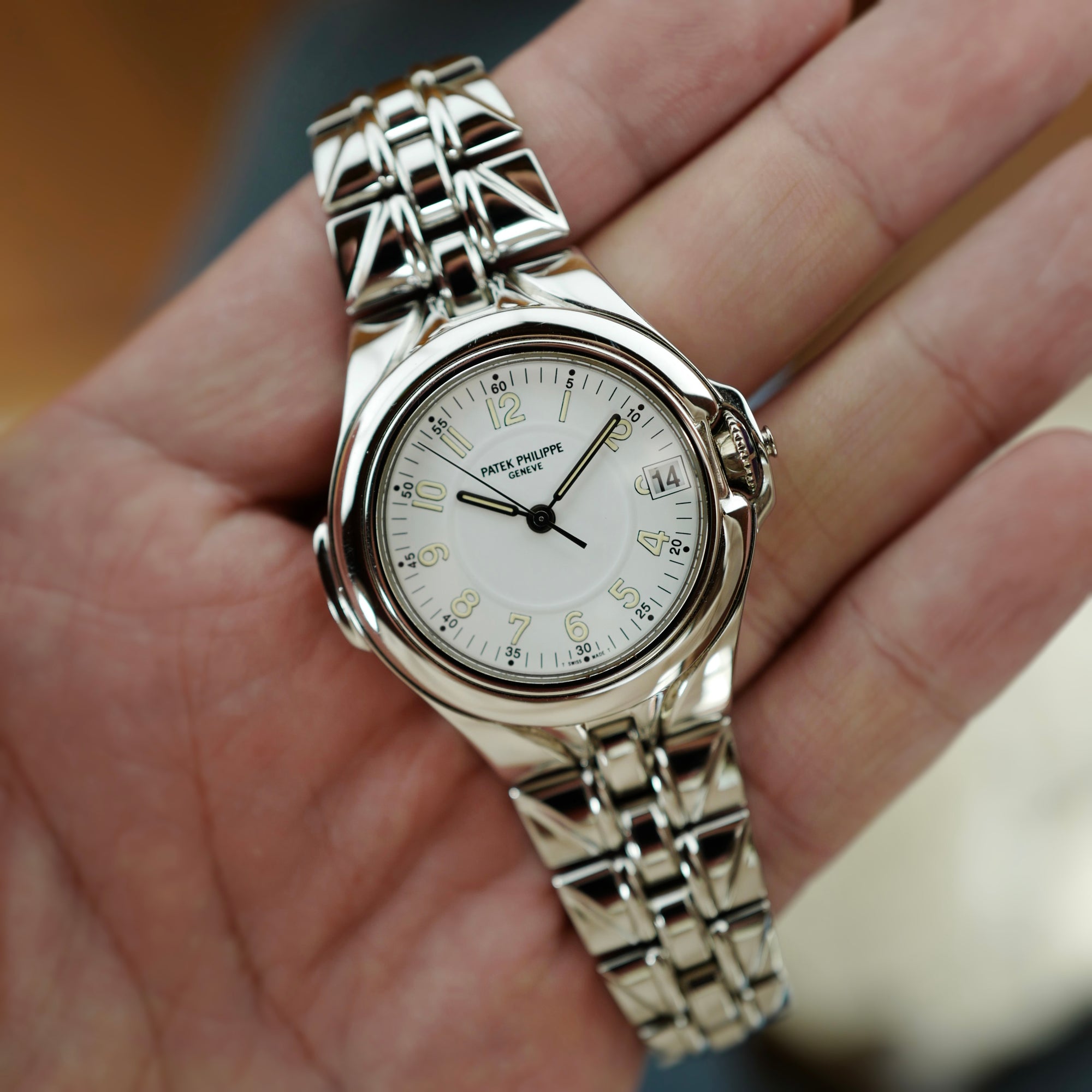 Patek Philippe Steel Sculpture Reference 5091 (New Arrival)