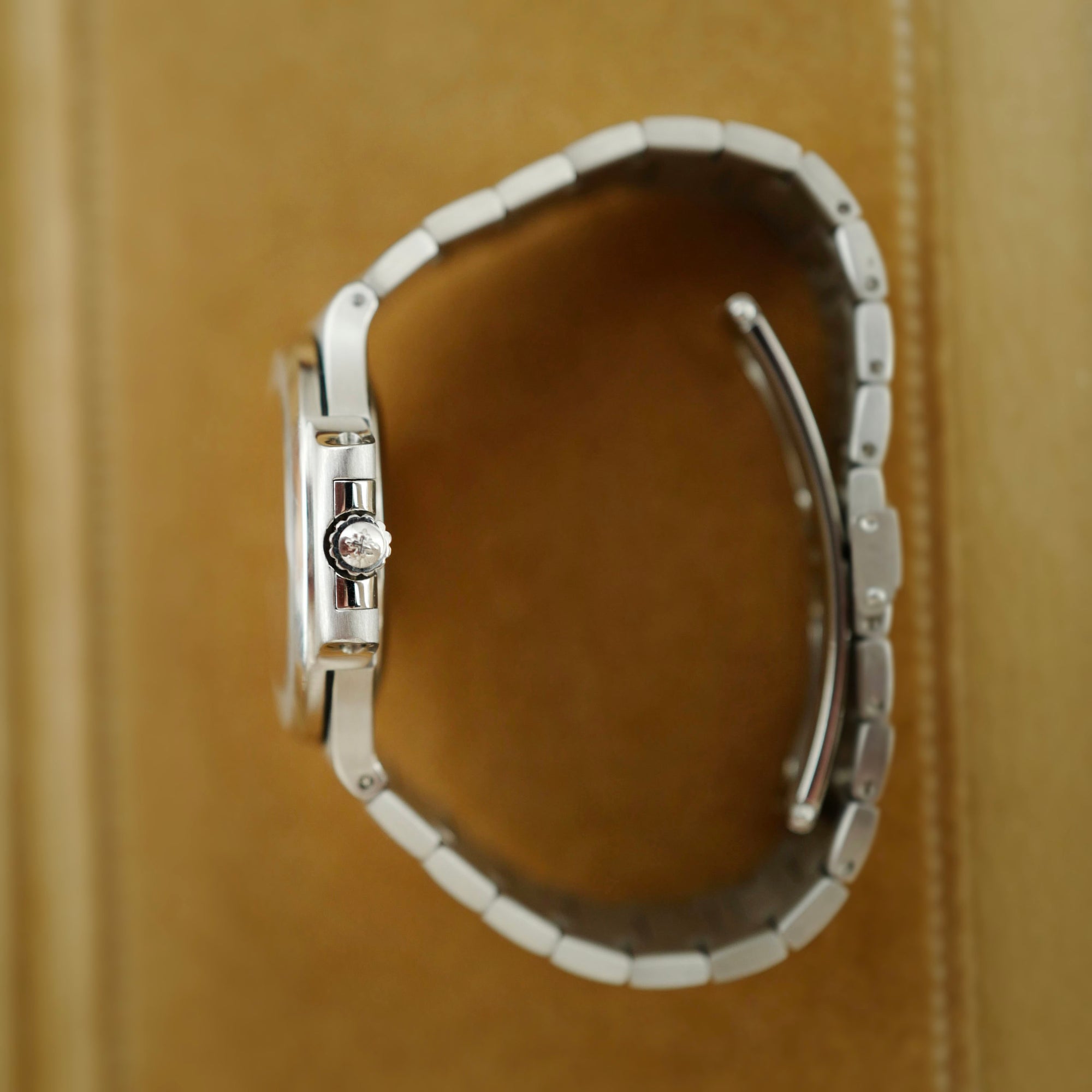 Patek Philippe Steel Nautilus Ref. 3800 with Roman Numeral Dial (New Arrival)