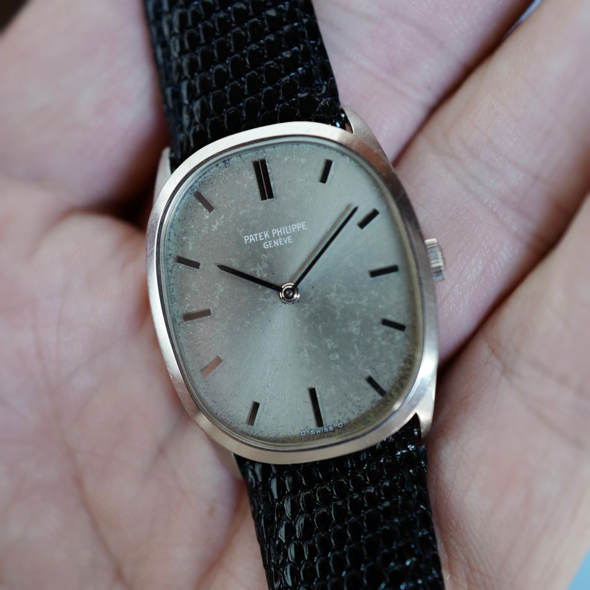 Patek Philippe White Gold Golden Ellipse Ref. 3546 (New Arrival)