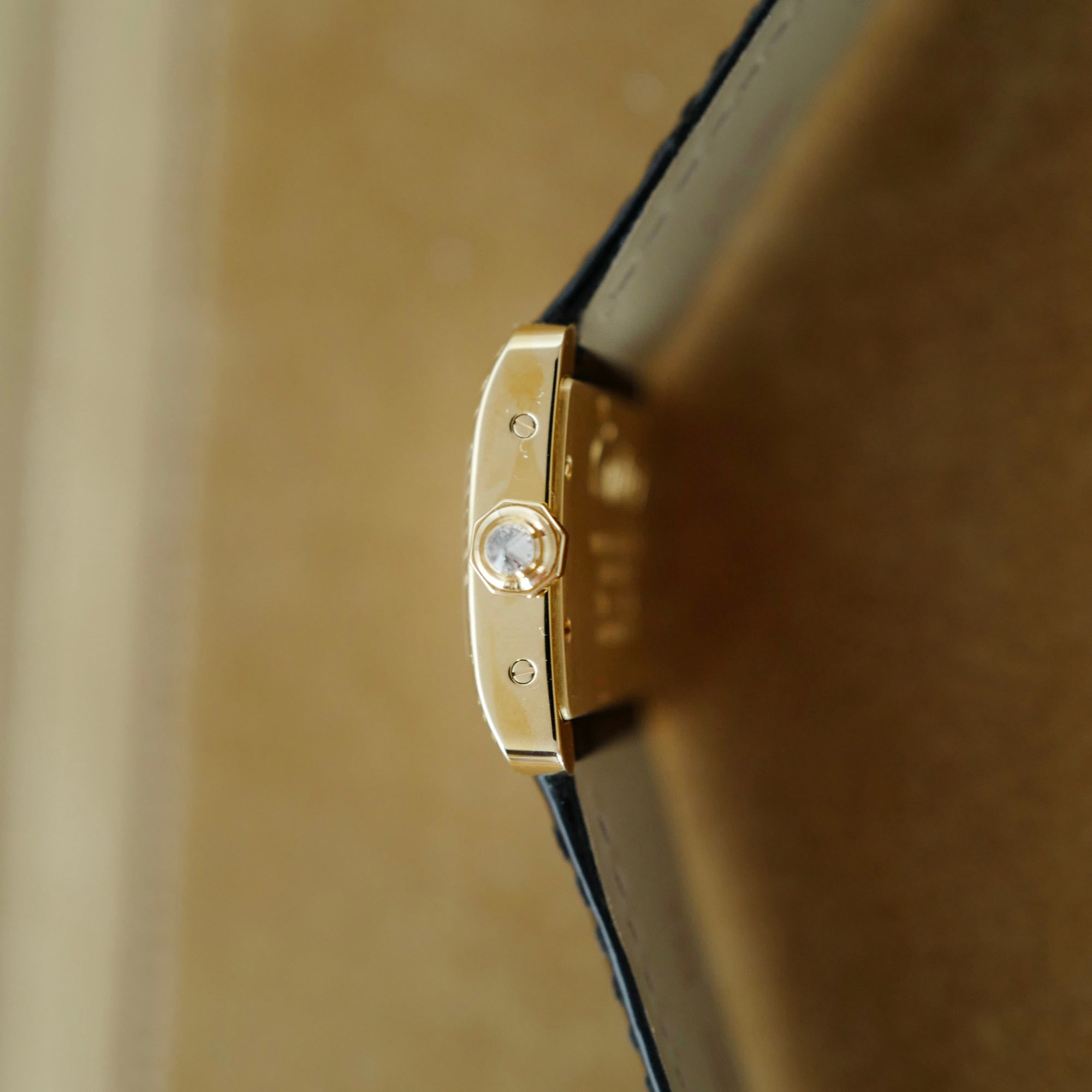 Cartier Tank Divan Ref. WA301836 with Enamel Panther (New Arrival)