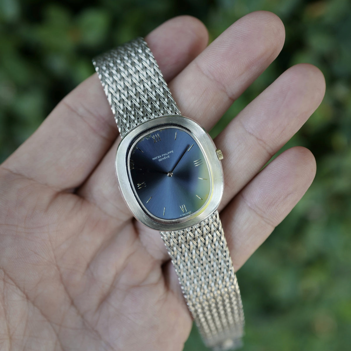 Patek Philippe White Gold Ellipse Ref. 3589 with Blue Dial