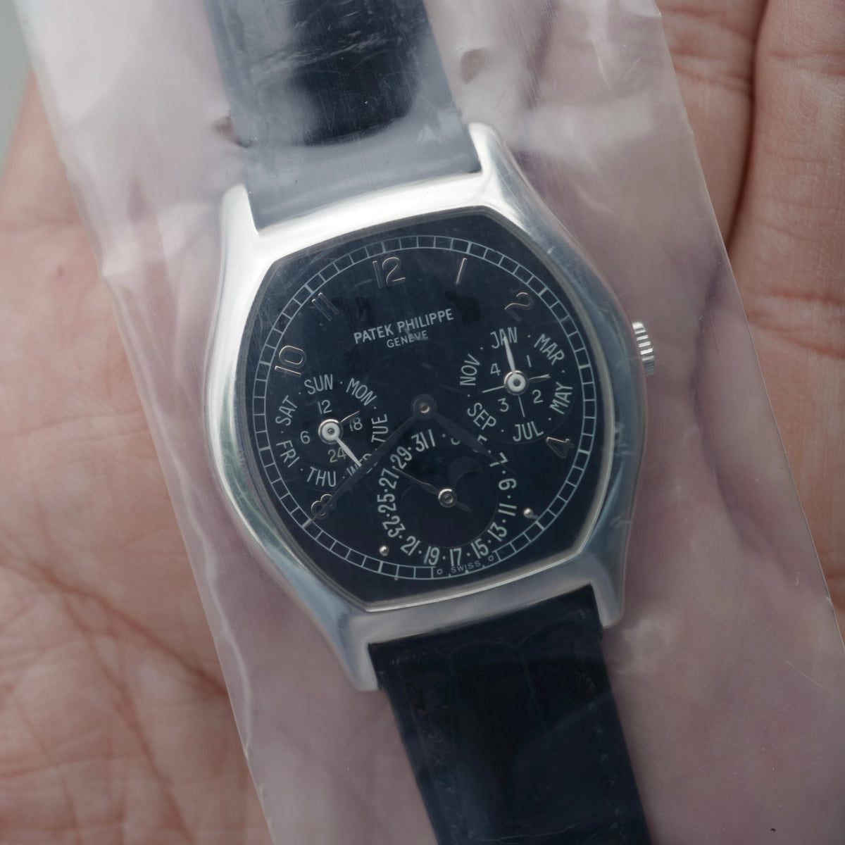 Patek Philippe Platinum Perpetual Calendar Watch Ref. 5040P, Single Sealed (New Arrival)