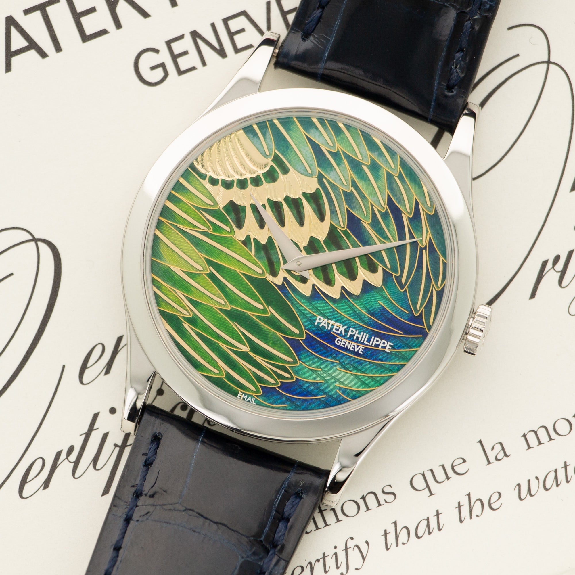 Patek Philippe - Patek Philippe Platinum Cloisonne Dial Watch Ref. 5077 - The Keystone Watches
