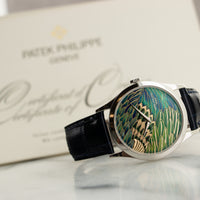 Patek Philippe Platinum Cloisonne Dial Watch Ref. 5077