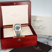 Patek Philippe Platinum World Time Watch Ref. 5110